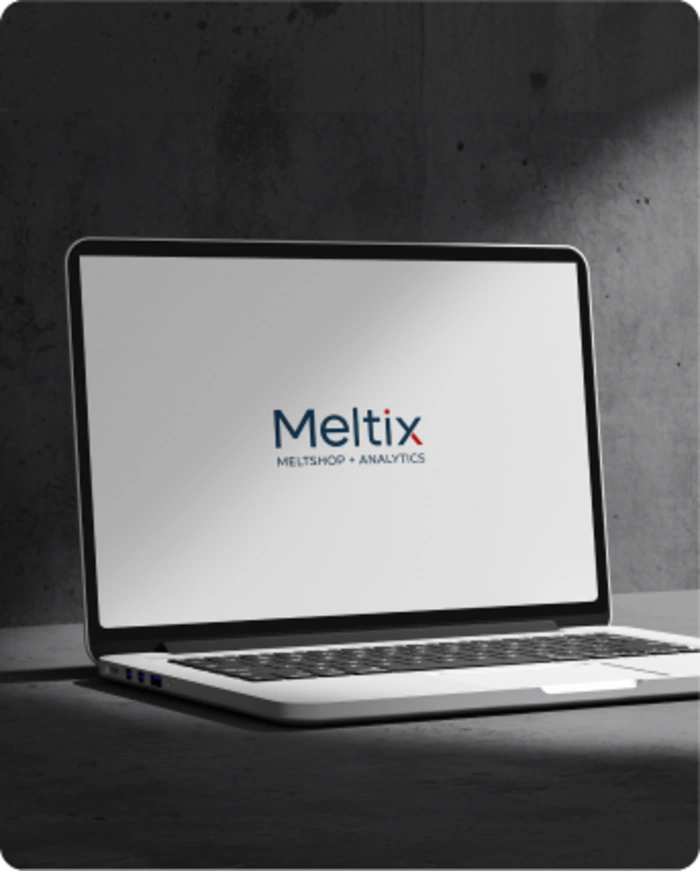 Meltix branding mockup