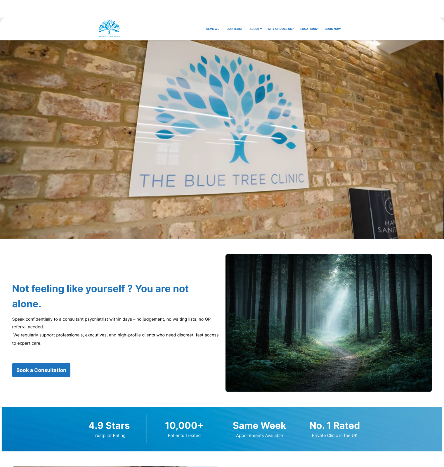 blue-tree-clinic website screen 1