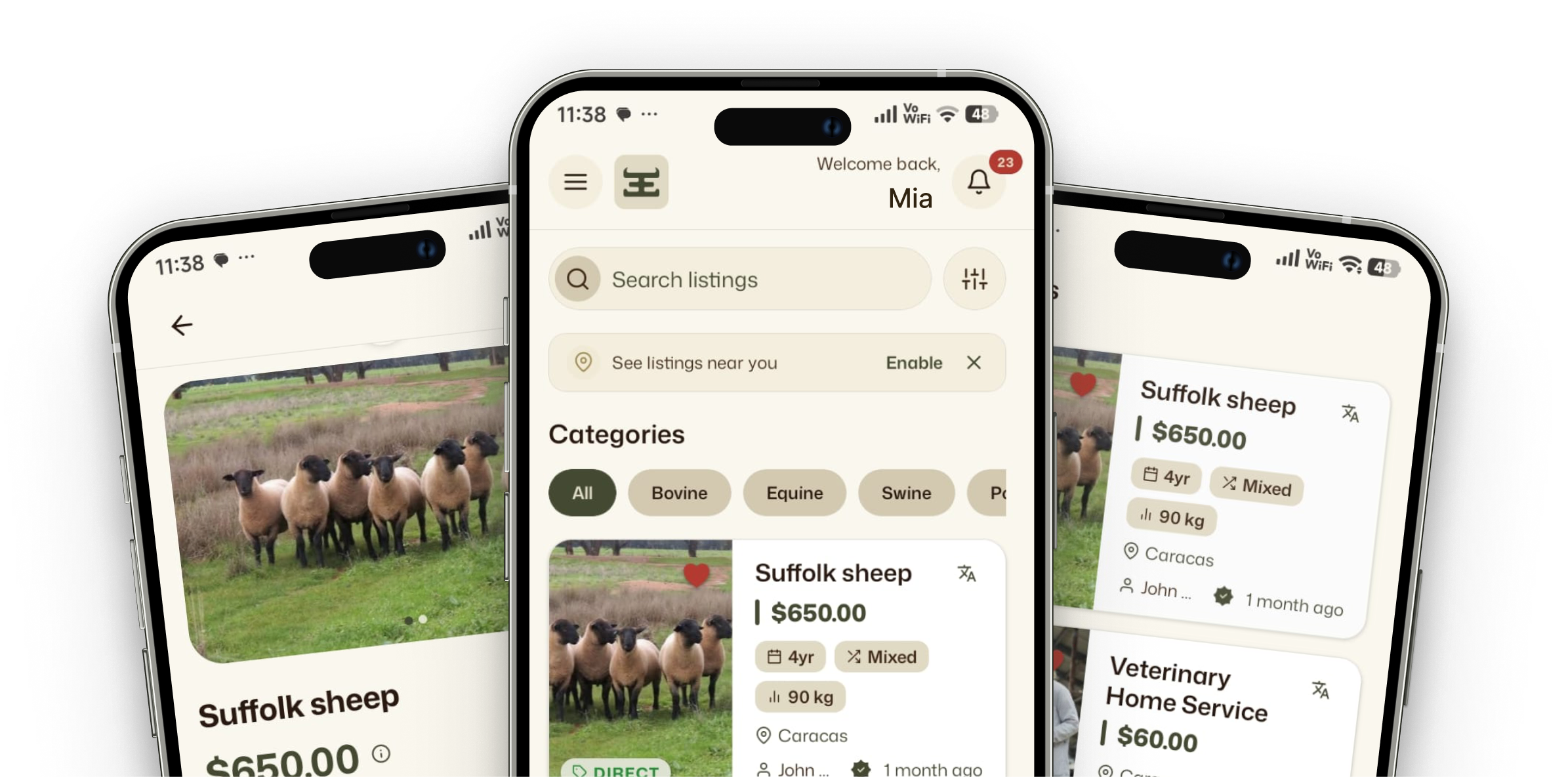 enlace-mob website mockup