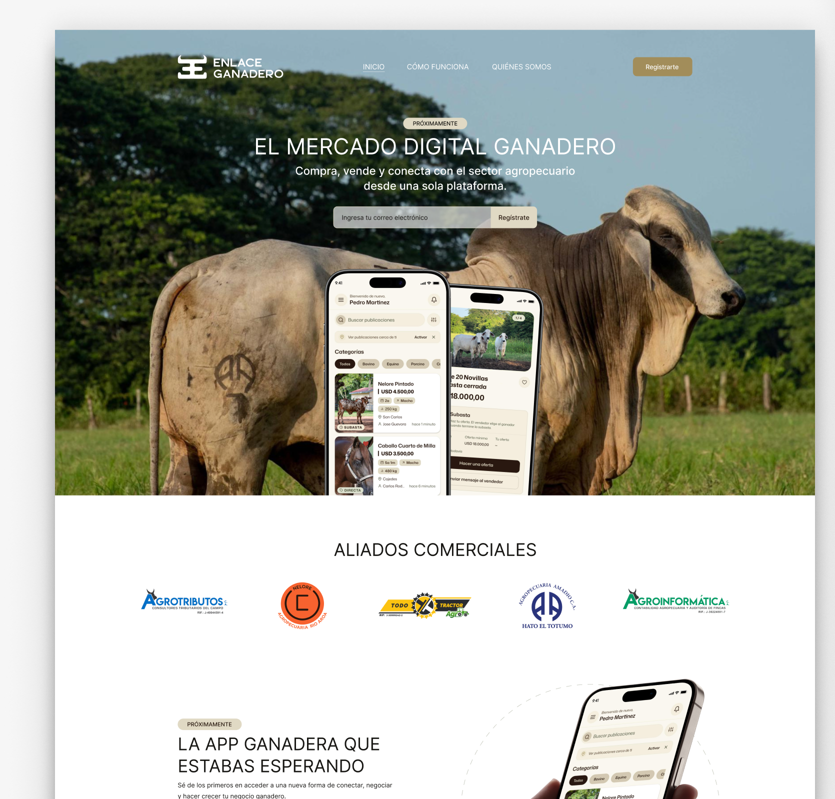 enlace-site website screen 1