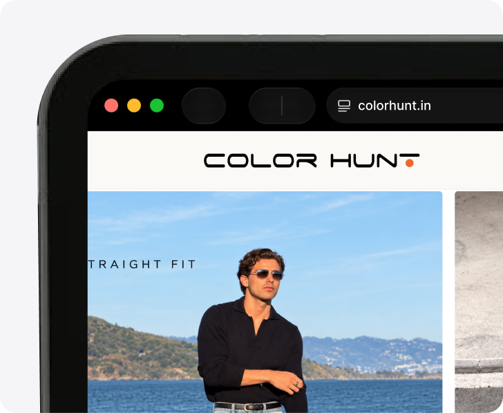 Color Hunt web app mockup