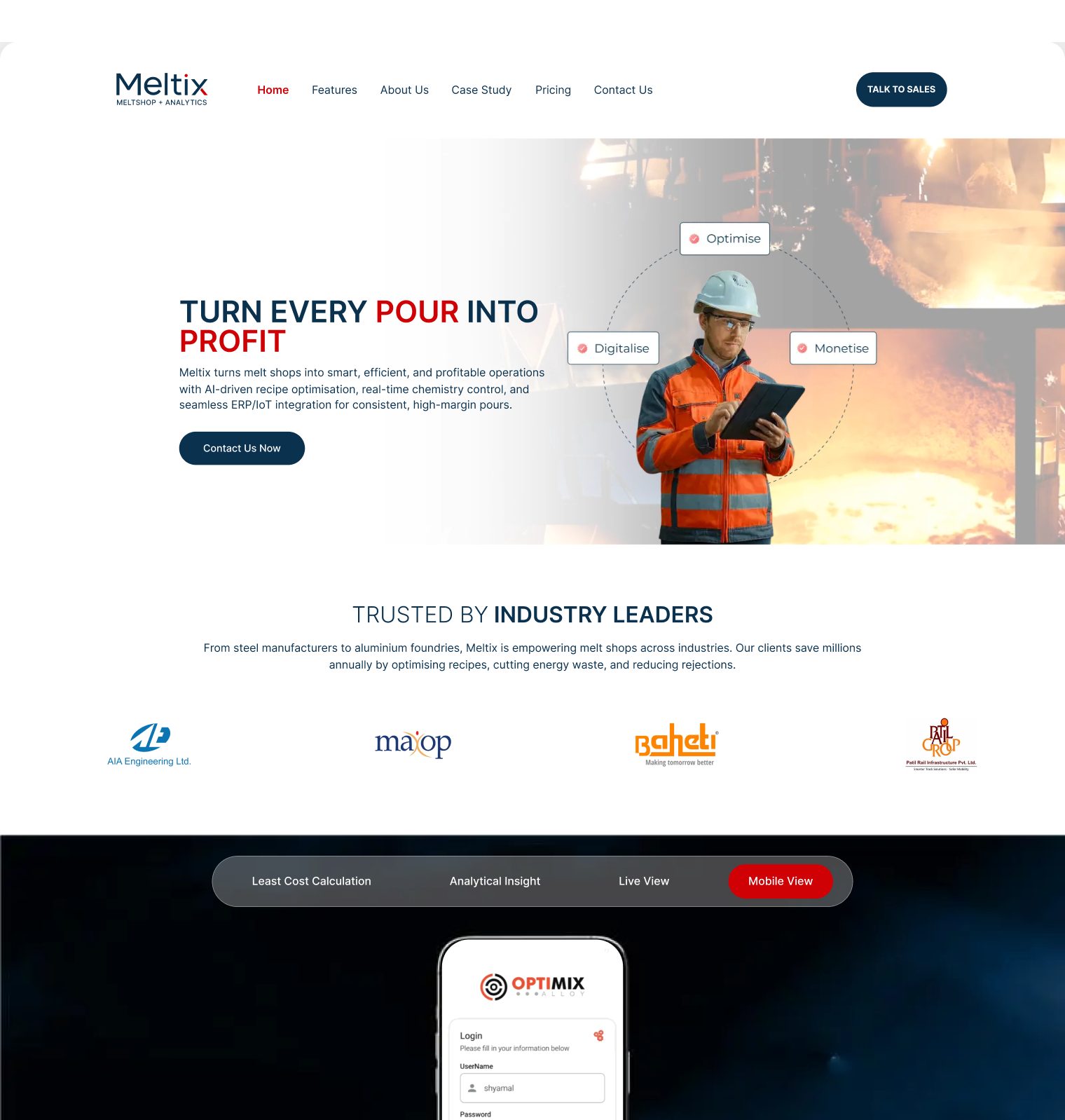 meltix-site website screen 1