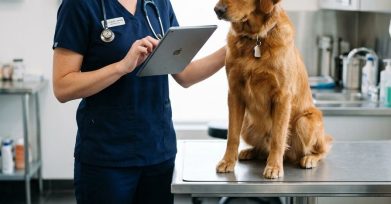 Veterinarian using a tablet beside a calm dog in a modern clinic
